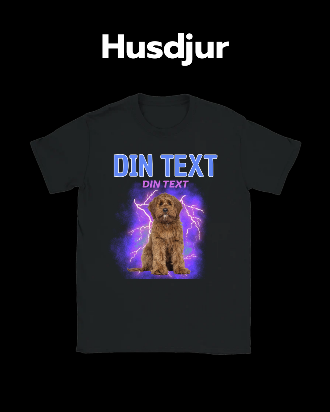 Husdjur